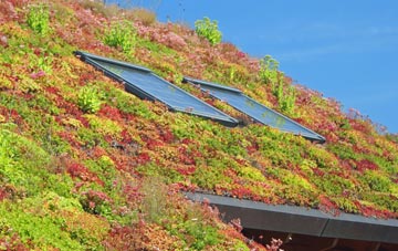 Tuxford living roof systems