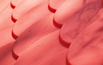 Tuxford plastic roof costs