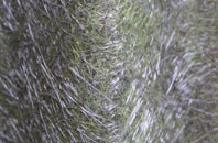 Tuxford fibreglass roof work